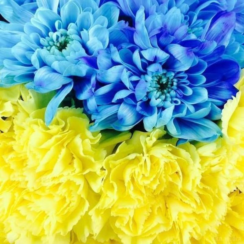 Графік роботи магазину