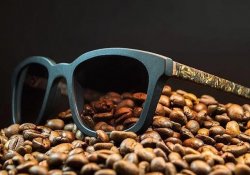 Окуляри і екологія