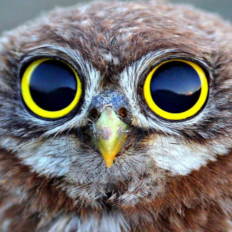 Дослідники визначили групу людей, яка найкраще бачить у темний час доби