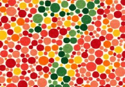 Вчені розробили контактні лінзи, які покращують сприйняття кольорів у дальтоніків.