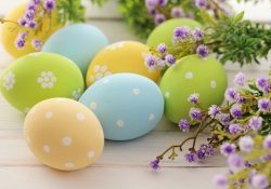 Розклад на святкові дні