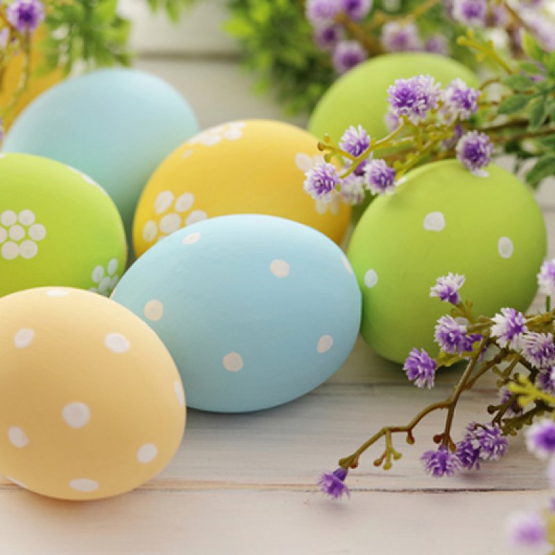 Розклад на святкові дні