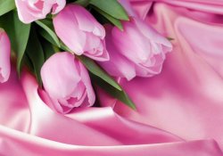 Розклад роботи 8.03.2019