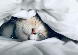 Нестача сну та зір