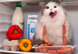 Продукти, через які можна зіпсувати зір