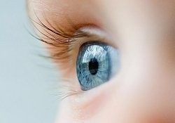 Усі блакитноокі люди на землі походять від однієї людини