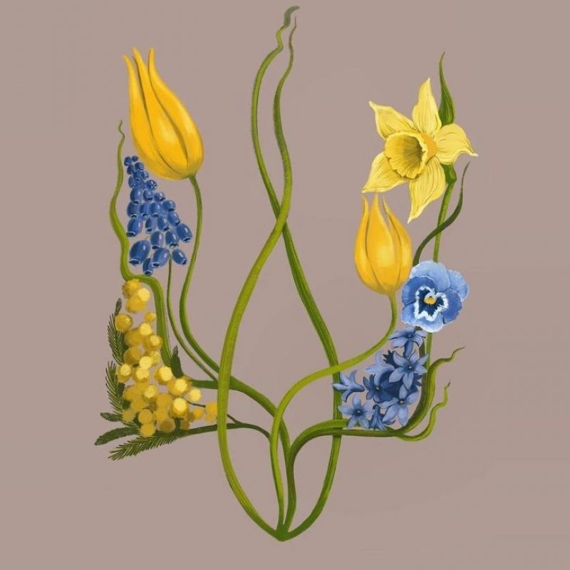 Вітаємо наших Захисників!