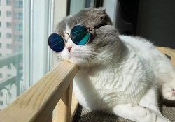 Літо та гарний зір