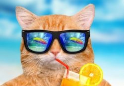 Поляризаційні окуляри: переваги і недоліки