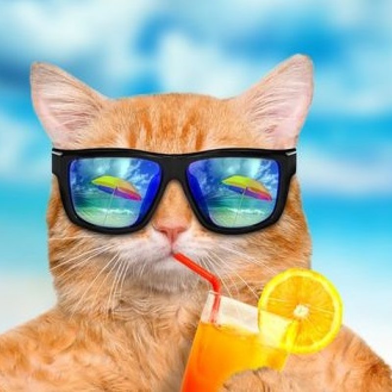 Поляризаційні окуляри: переваги і недоліки