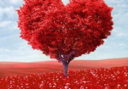 Акція до Дня закоханих