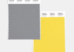 Американський інститут Pantone оголосив кольору 2021 року
