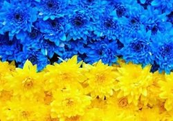 Розклад роботи у день захисника УкраЇни