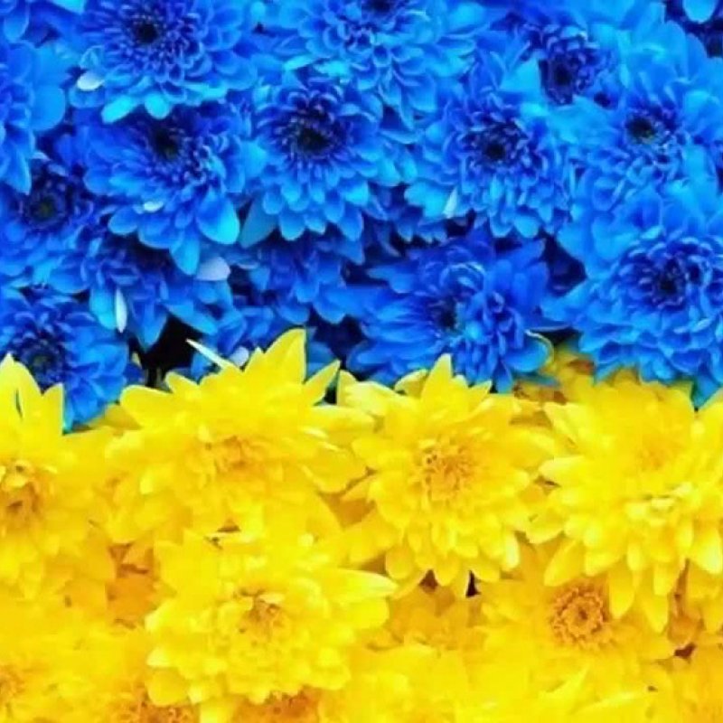 Розклад роботи у день захисника УкраЇни