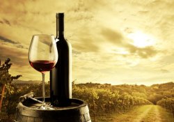 Вживання червоного вина в помірних дозах знижує ризик розвитку катаракти