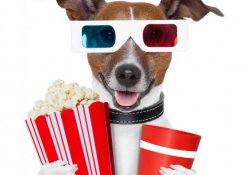 3D-кіно погіршує зір