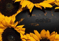 Український бренд «Ochis» продовжує розвиватися